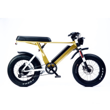 Popular E-Bike 20′′*4.0 Fat Electric Bike 48V 1000W Ex8speed